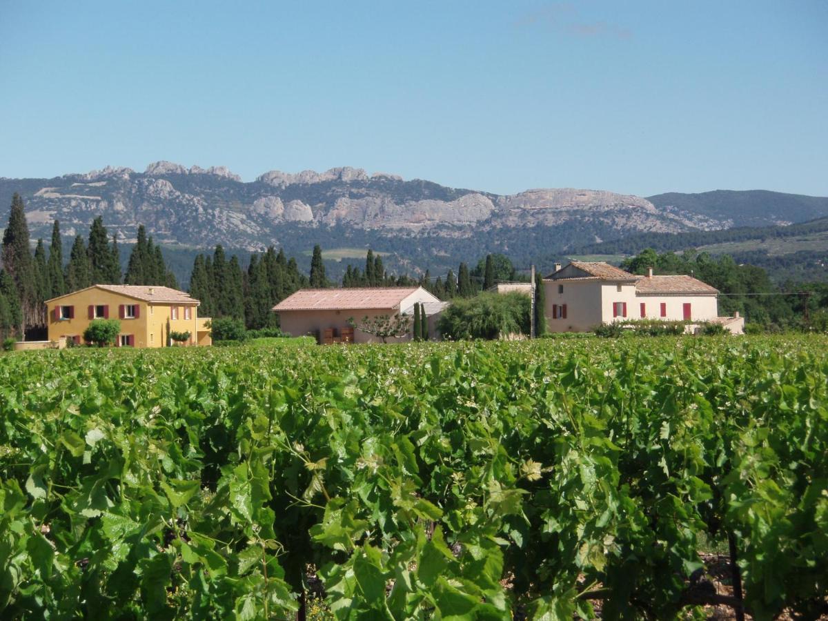 Gite Les Vignes Carpentras Buitenkant foto